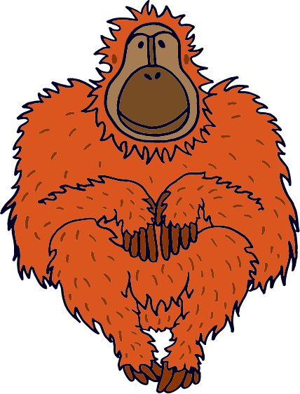 orangutan1 Orangutan
