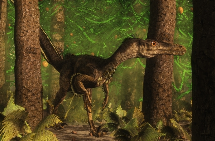 dino1