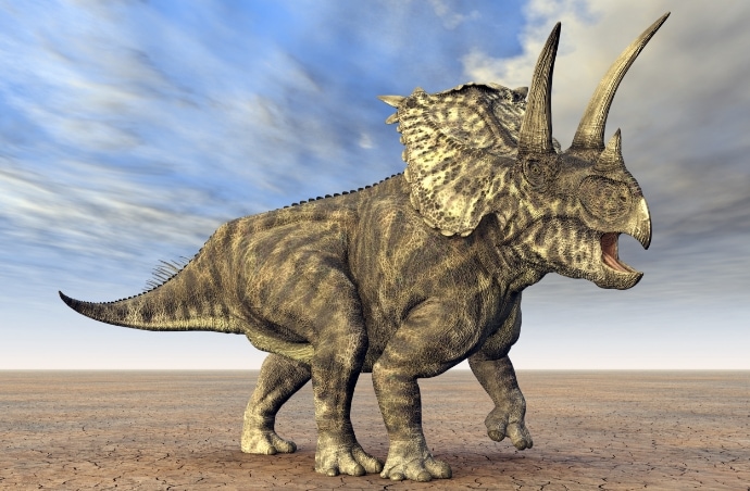 dino3