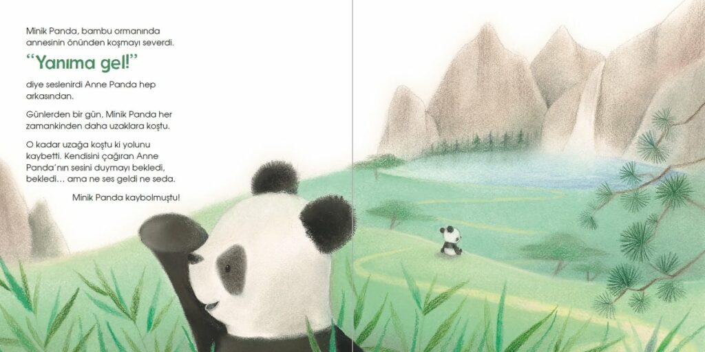 Kayip Minik Panda 1 Haziran Ayı Kitaplarım - 2023