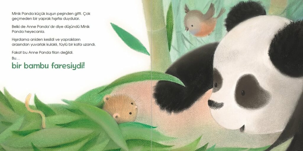 Kayip Minik Panda 2 Haziran Ayı Kitaplarım - 2023