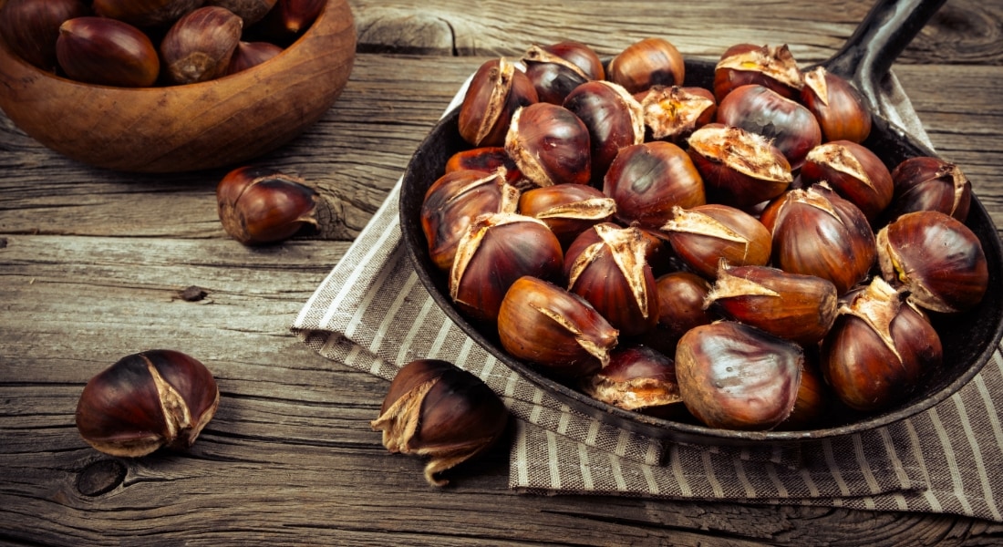 mini mutfak kestane giris Kestane