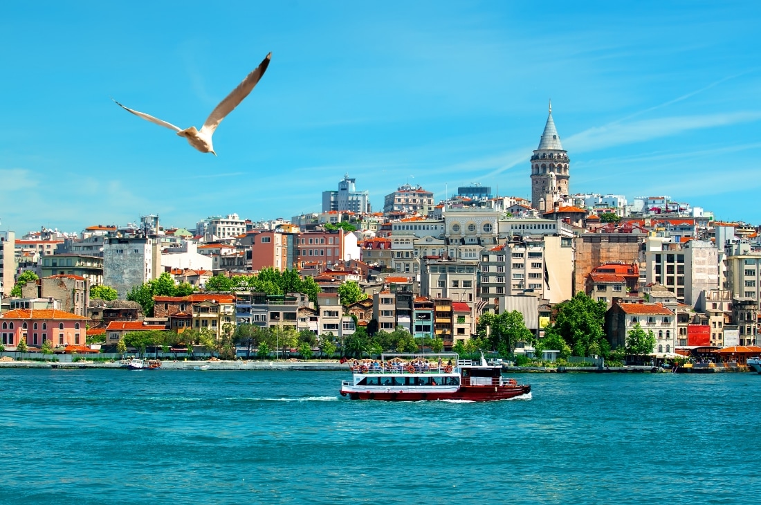 martı