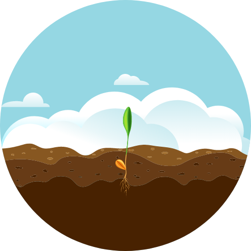 bugday 2 1 Buğdayın Yolculuğu