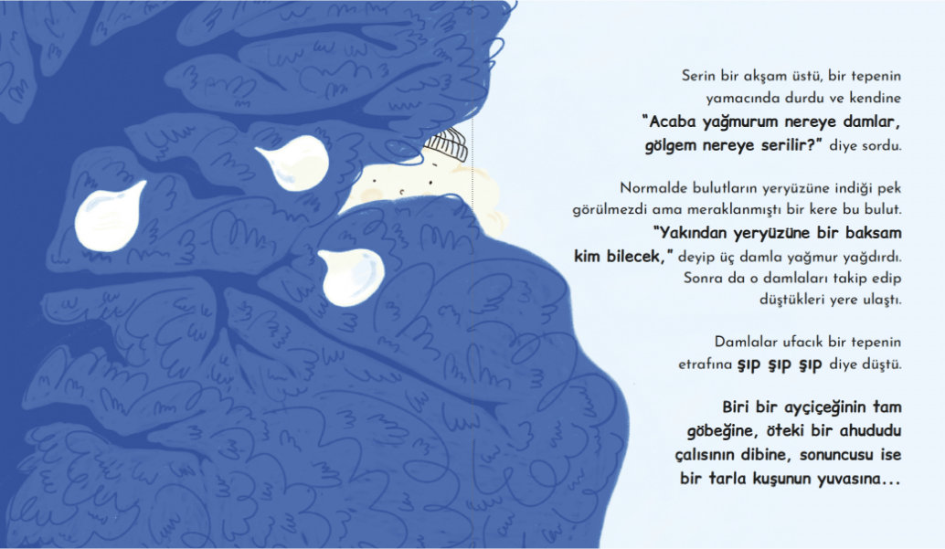 Kucak Dolusu Gökyüzü