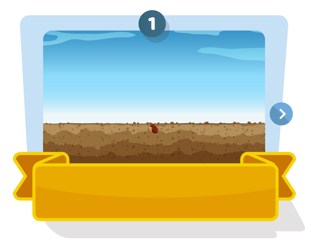 Rectangle