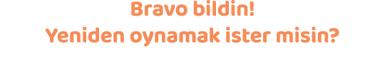 Bravo bildin! Yeniden oynamak ister misin?